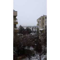 tirnak #1