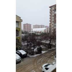 tirnak #1