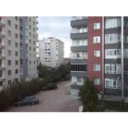 tirnak #1