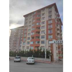 tirnak #1