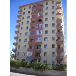 tirnak #1